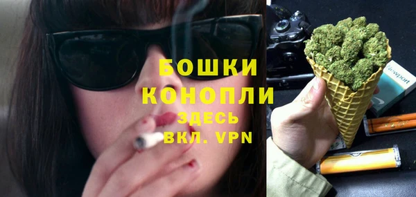 сатива Балахна