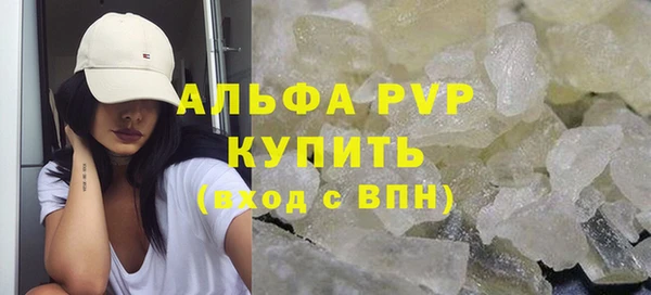 сатива Балахна