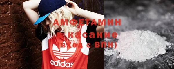 сатива Балахна