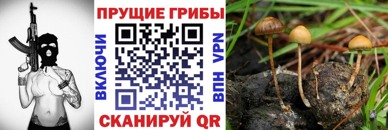 Галлюциногенные грибы мухоморы  Нижний Ломов 