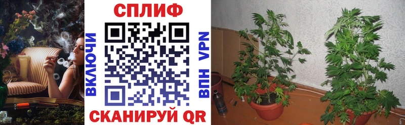 магазин продажи   Нижний Ломов  гидра tor  нарко площадка формула  Шишки марихуана марихуана 